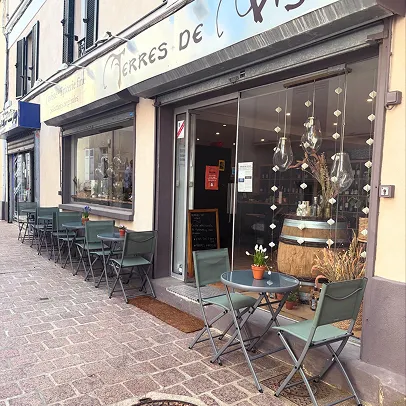 Terres de vigne, votre cave à vin, bières et spiritueux à Montmorency - Val d'Oise (95)