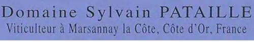 Sylvain Pataille